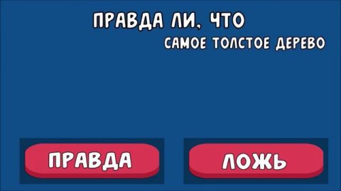 в.2