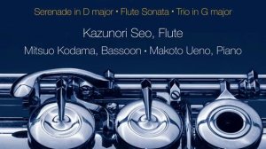 Serenade in D Major, Op. 41: III. Allegro molto