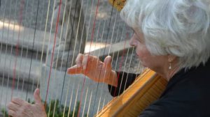 Charlotte Wolter, harp   Samples 7