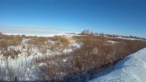 охота на зайца