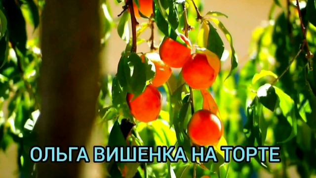 ТРЭШ НА КАНАЛЕ ДОБРОЕ ДЕЛО. ДОБРОЕ ДЕЛО ВМЕСТЕ.