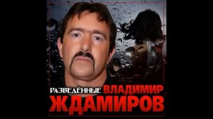 Владимир Ждамиров - Разведённые