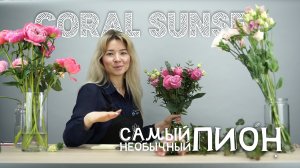 Собираем весенний букет из самого необычного и красивого пиона Coral Sunset