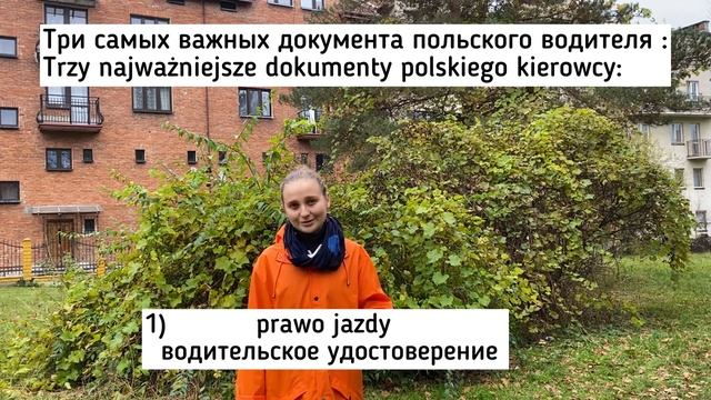 ? О ТАЧКАХ НА ПОЛЬСКОМ ? | УЧИ ПОЛЬСКИЙ ЛЕГКО | UCZ SIĘ Z MARIĄ №21