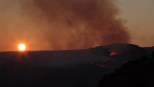 Мнозгострадальная арена (о событиях на Украине).