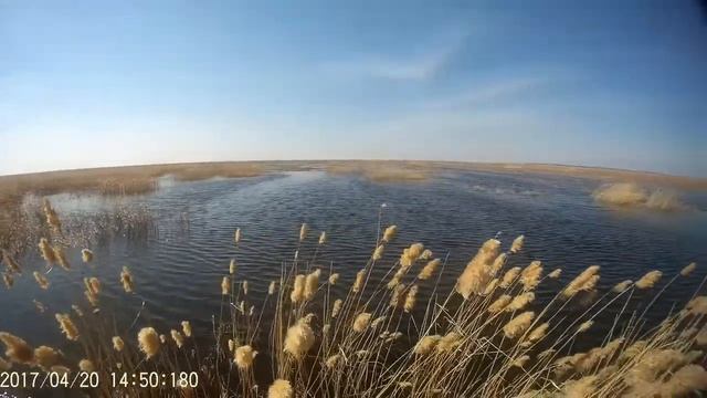 Каракат по воде смотреть онлайн