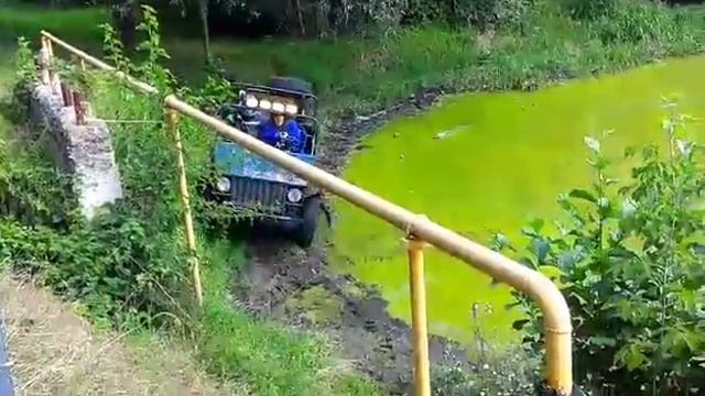 Баги в болоте смотреть онлайн