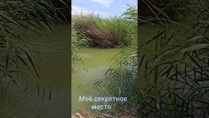 Рыбалка на Чограе 2020