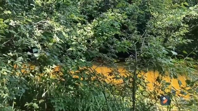 Россия-Родина моя. смотреть онлайн