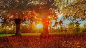 Как изменить физическую реальность в сегодняшней ситуации на Земле.