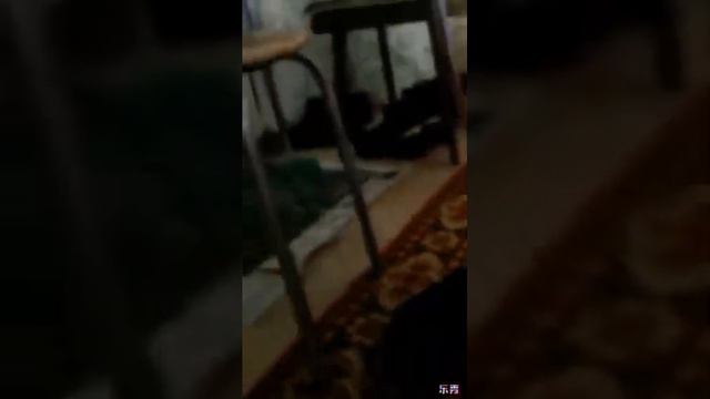 Челендж кто последний отпустит руку с пола тот победил. смотреть онлайн