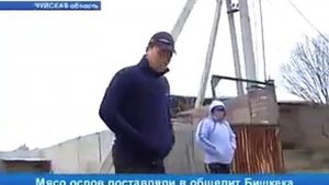 В Киргизстане продают мясо ослов как говядина! Будьте осторожны!