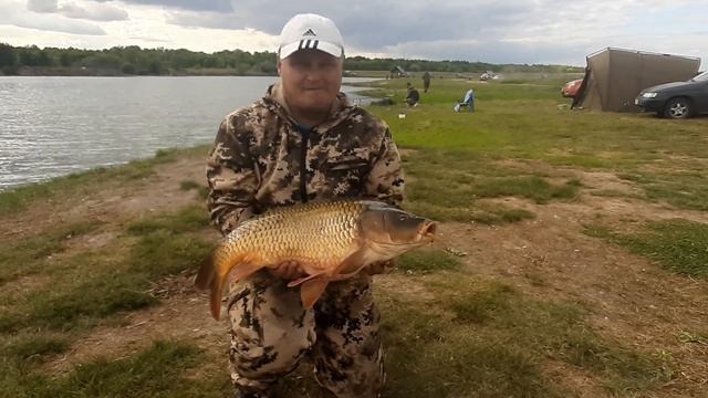 Платная рыбалка, пруд Черноморец 16.08.20г. Карпфишинг. смотреть онлайн