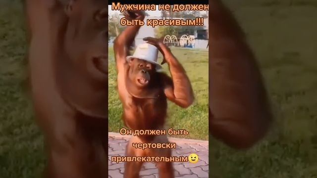 мужчина должен быть привлекательным ... юмор позитив приколы