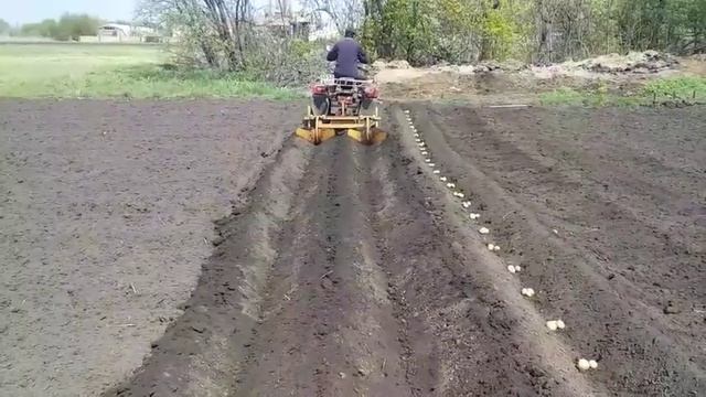 посадка картофеля ЗИМ-350 смотреть онлайн