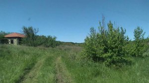 Едем по заброшенной деревне Елховке