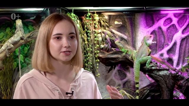 Содержание Водяной Агамы смотреть онлайн