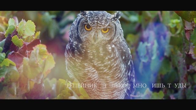 SKOPINS.RU  -  ХОРОШИЙ СОВЕТ (притча)