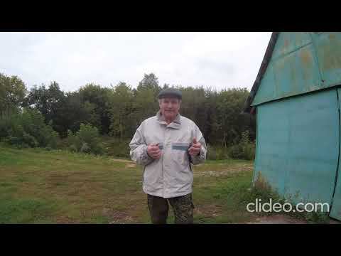 Подражаем животным. смотреть онлайн