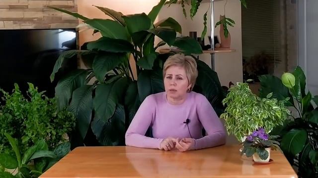 Что посадить в тени. Лучшие цветы для тенистого участка. Цветы для ленивого садовода.