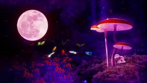 Павел Ясносвет пространства 3D и 4D. Новые идеалы 4D Мира