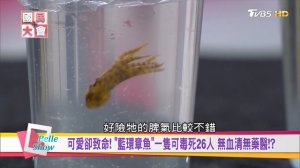 全台不到600隻! 台灣黑熊現身低海拔 瀕危動物絕種危機!_ 國民大會 20180725 (完整版) ( 1080 X 1920 )