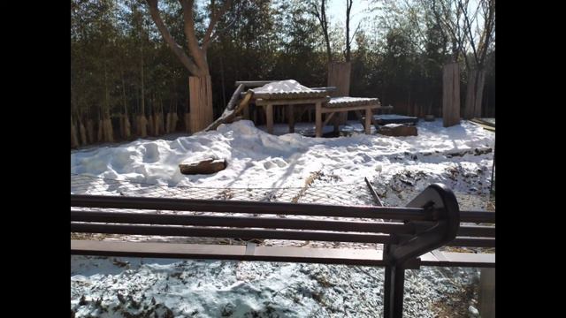 KOREA / STARFIELD LIBRARY+EVERLAND смотреть онлайн