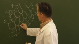 Схема резекции брыжеечной части тонкой кишки