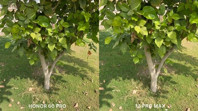 Honor 60 Pro vs iPhone 13 Pro Max Camera Test смотреть онлайн