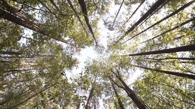 VESPERS // May 11, 2022 // Rev Gary Gibson & Rev Nancy Tinnell смотреть онлайн