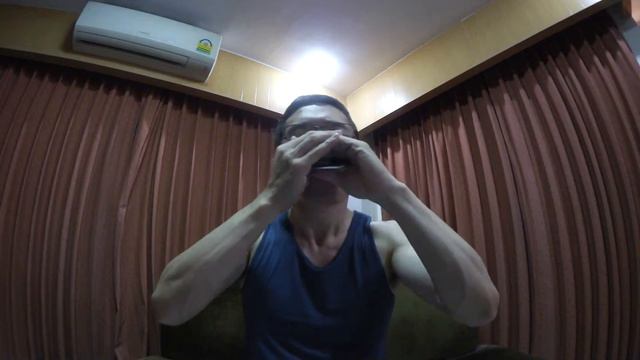 Amazing Grace --- 10 holes harmonica --- смотреть онлайн