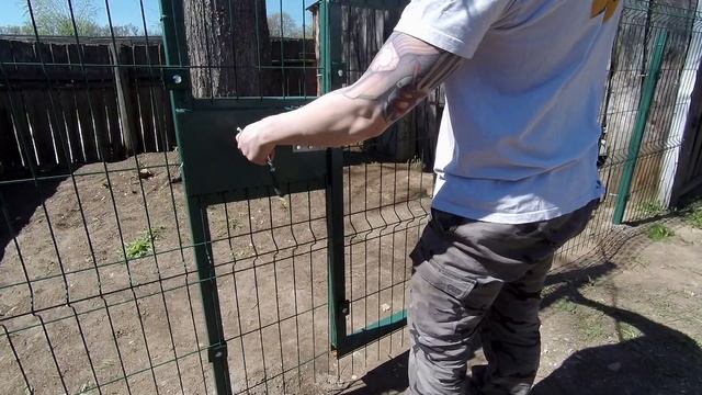 Вольер своими руками "Собачий ГУЛАГ" смотреть онлайн