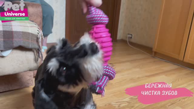 PU6003PL Игрушка для собак Pet Universe Мяч для Регби с канатом, размер 23*6 см смотреть онлайн