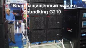 Влагозащищённый массив Soundking G210