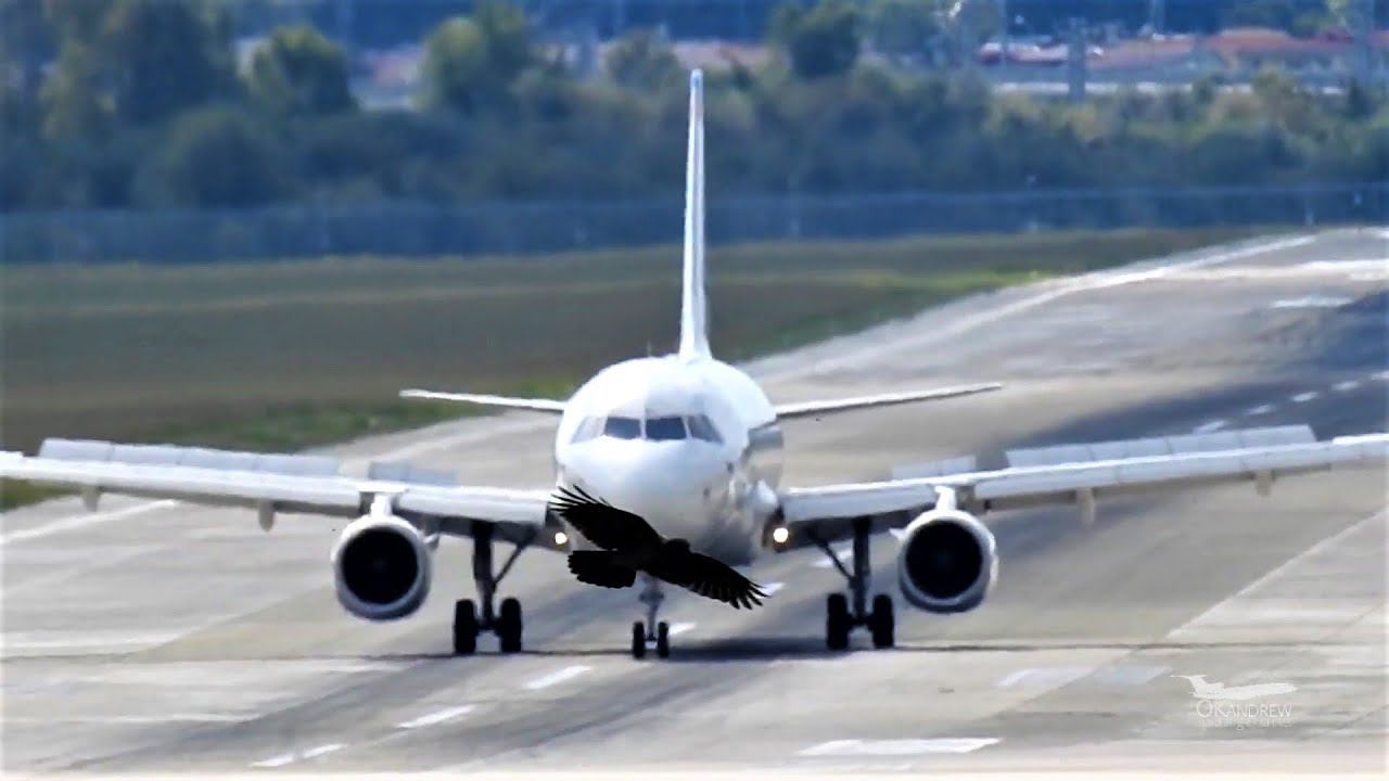 Уральские Авиалинии Airbus A320 A321 Ural Airlines