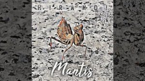 Mantis