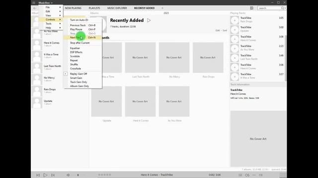 The Best Free Music Player And Manager Is MusicBee