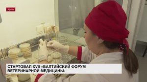 В Петербурге проходит XVII «Балтийский форум ветеринарной медицины»