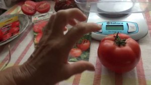 Томат Партнёр от ф. Семко один из любимых.