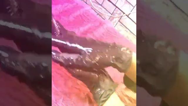 Студия красоты “Gorgona Dynasty” услуга ламинирование ресниц реклама мастера gorgona ? смотреть онлайн