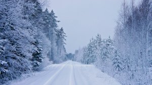 Торжественная и суровая красота Сибири