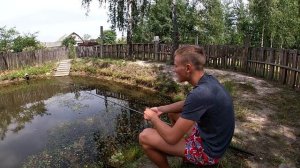 МОЙ ПРУД ЧЕРЕЗ 28 ЛЕТ! ПРУД СПУСТЯ 28 ЛЕТ! Зарыбление, кормление, уход и тд.