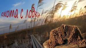 охота на селезня со скрадка 2024