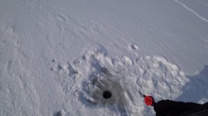 Ловля на БАЛАНСИР. Виды ПРОВОДКИ балансира.