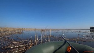 Черемшан и поплавок