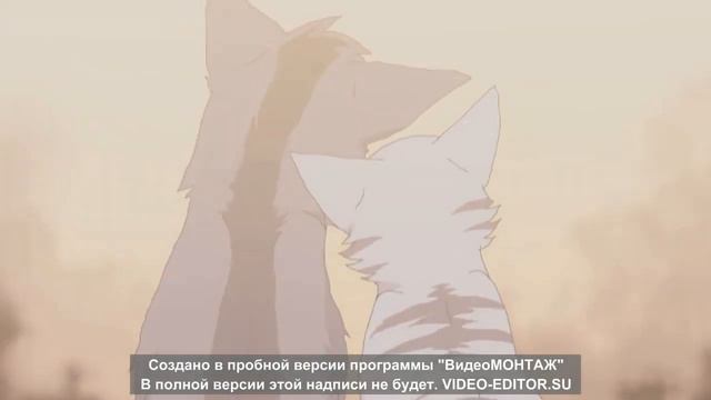 ~Клип~Коты воители~Серебрянка и Крутобок~