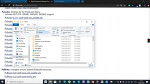 Как установить плагин PyAudio?