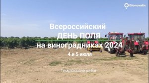 Всероссийский день поля на виноградниках 2024