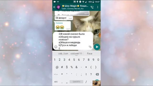 ?Видео Шоу? Кошки и коты? смотреть онлайн