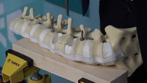 Мастер класс ОСТЕОМЕД® Секция Вертебрология. Часть 1.